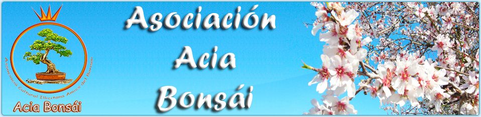 Asociación ACIA Bonsái